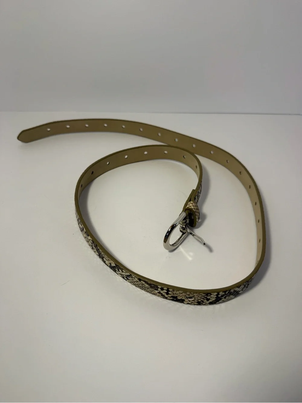Chic Neutral Snakeskin Print Skinny Belt Silver Buckle